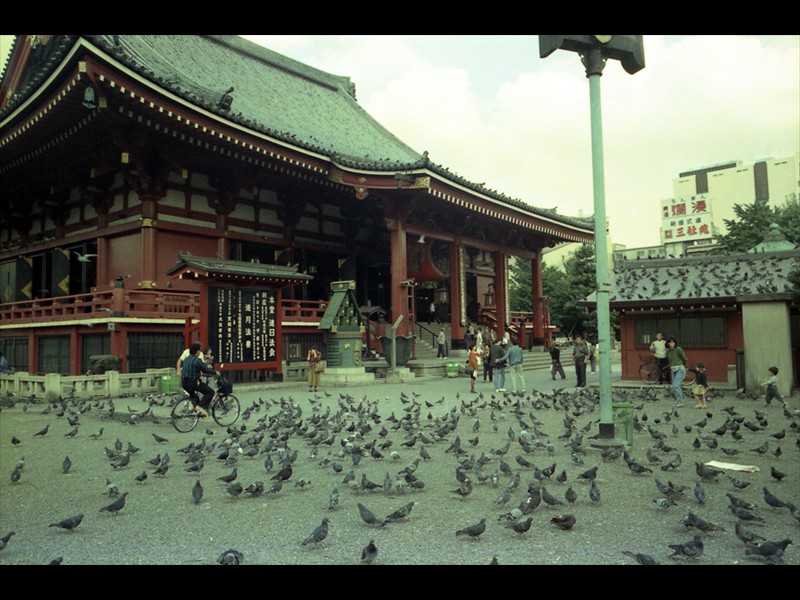 Tempio Senso-Ji risalente al periodo Edo 1603-1867