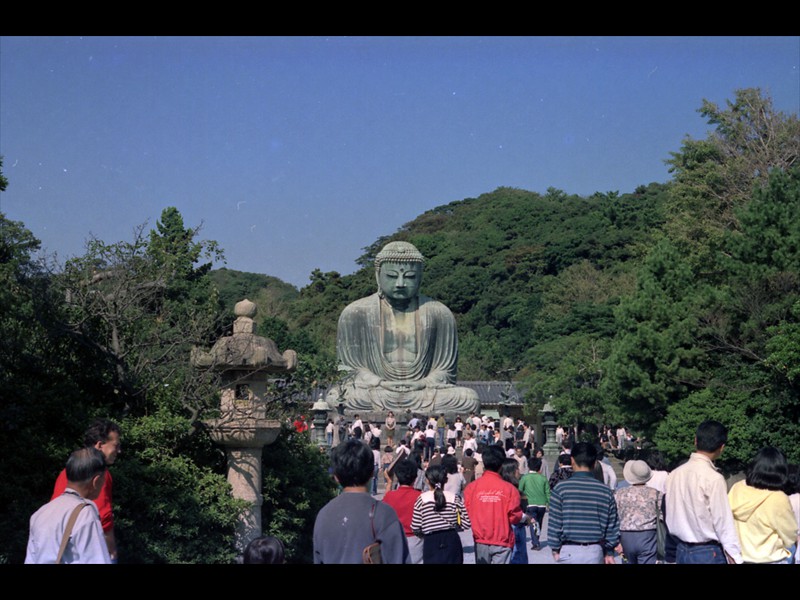 Il Grande Buddha di Kamakura Daibutsu è una statua in bronzo di Amida Buddha
