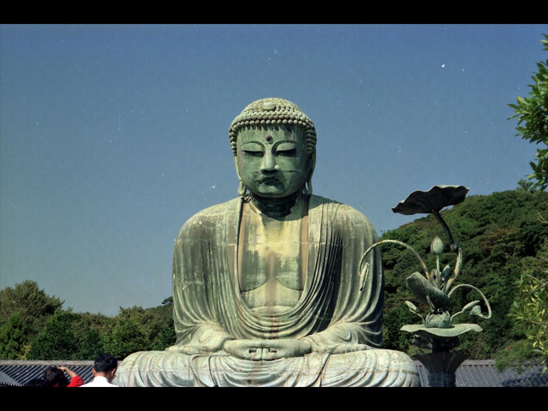 La statua in bronzo si trova sui terreni del Tempio Kotokuin. In origine era all'interno di un edificio andato distrutto da un'incendio