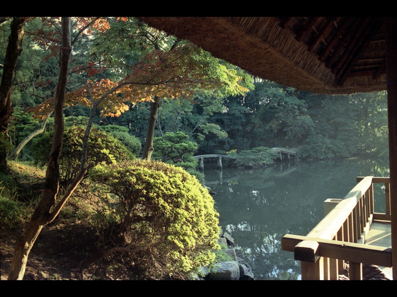 Il laghetto nel giardino Shukkei-en