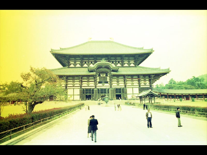 Todai-ji Temple all'interno si trova il più grande Buddha del Giappone