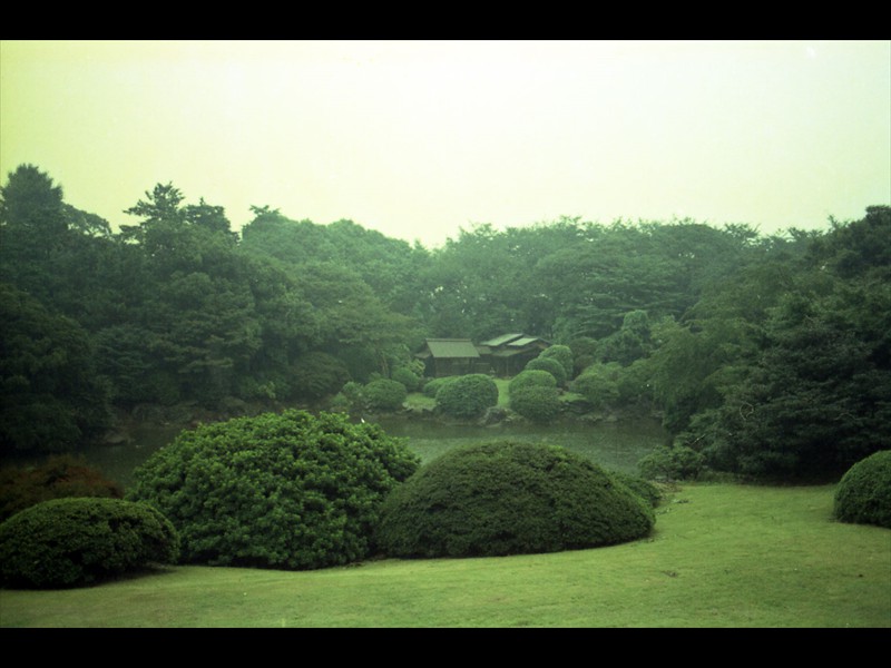 Lo splendido giardino che circonda il museo di Ueno