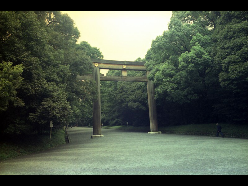Il Tori più grande del giappone si trova all'ingresso del parco del tempio Shintoista Otori 5,1mt di larghezza e 12mt di altezza la trave in cima al Tori è lunga 17mt 