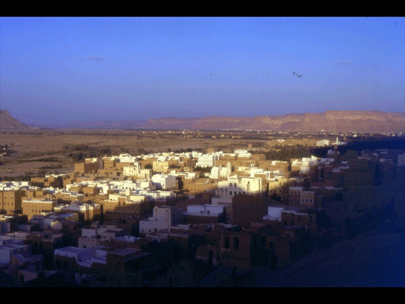 128-setttembre-95-yemen
