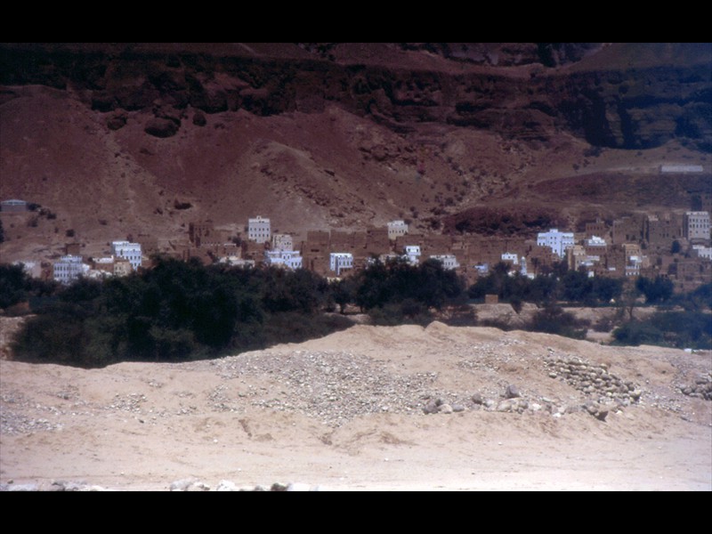148-setttembre-95-yemen