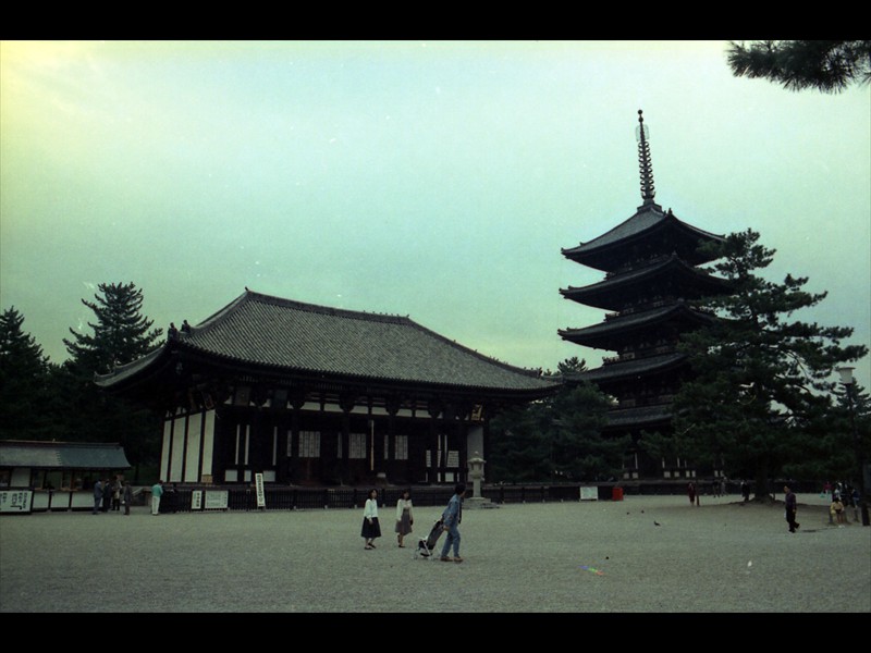 Il Todai-ji è la più grande costruzione in legno al mondo
