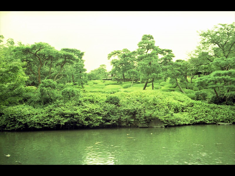 Happoen garden uno dei molti giardini di Tokyo