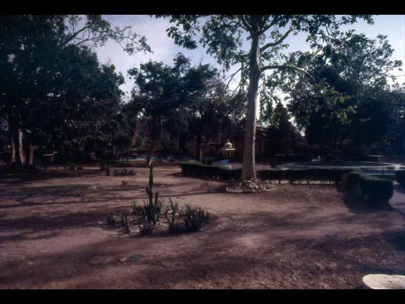 Umaid Public Garden