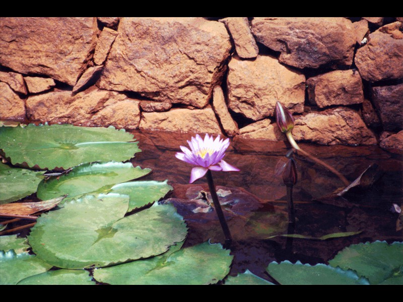 063-india024