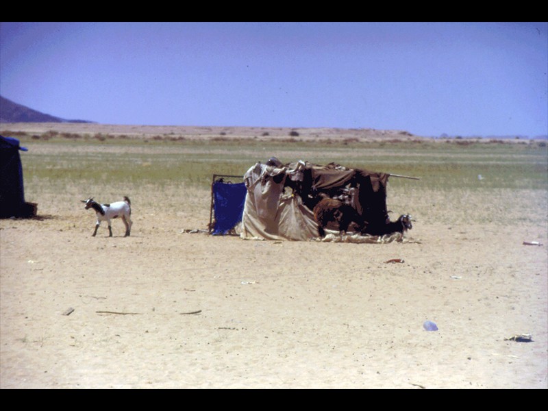 98-setttembre-95-yemen