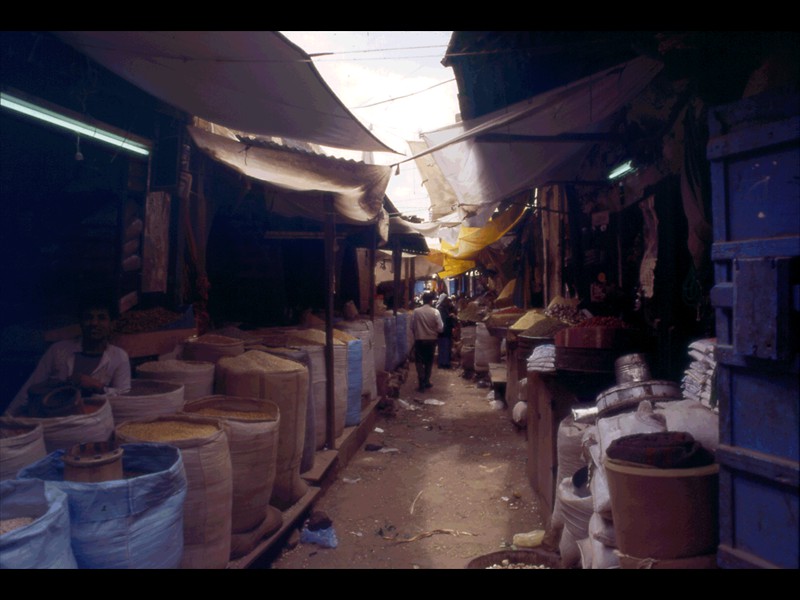 31-settembre-95-yemen