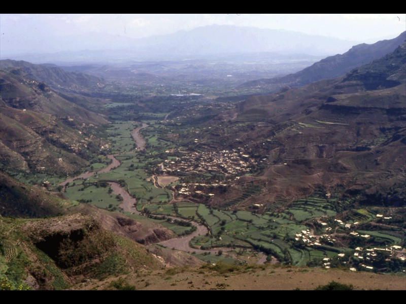 219-setttembre-95-yemen